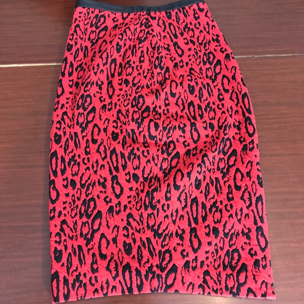 NWT Express Skirt